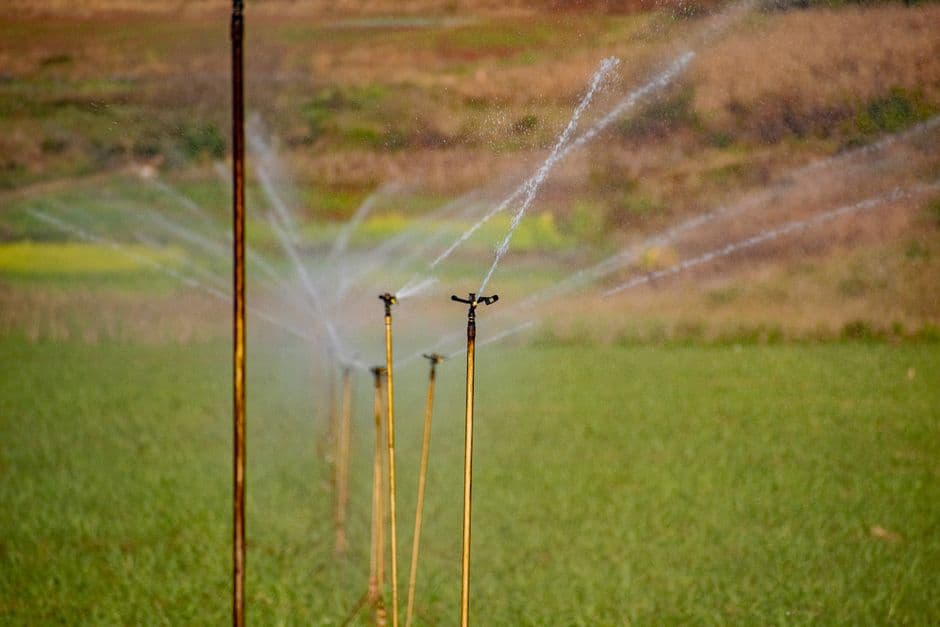 A line of impact sprinklers watering a green field, Eswatini.