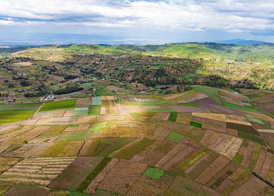 Aerial view of a patchwork of small crop fields and homesteads, Mau Narok, Kenya.