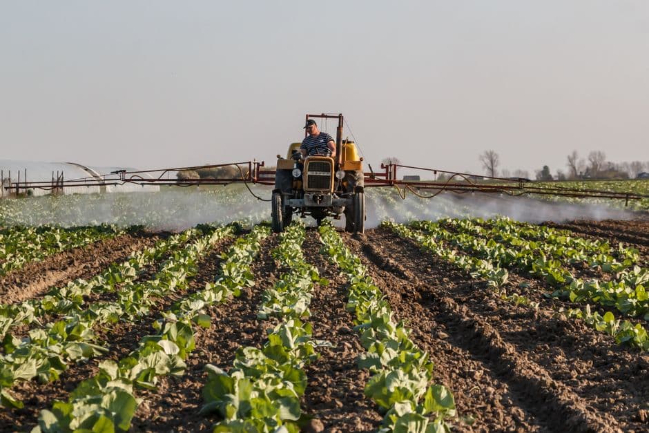 A tractor with a boom sprayer spraying rows of young cabbages.